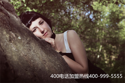 (400電話辦理收費(fèi)標(biāo)準(zhǔn))(400電話開通多少錢？)