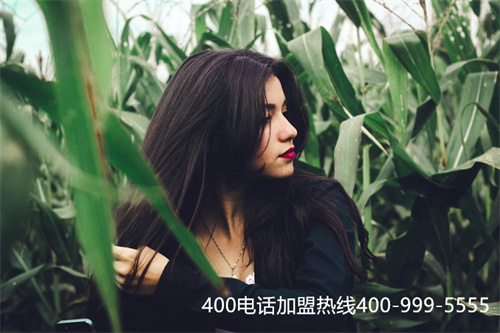 (400電話申請需要什么手續(xù))(山東400電話可以在網(wǎng)上申請嗎)