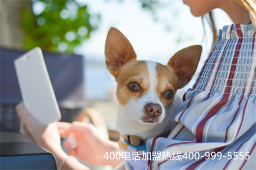 (合肥400電話辦理)(合肥400電話在哪辦)